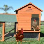 Automatic Chicken Coop Door Chicken House Door Light Sensor Farm Chicken Opener Pets Duck Cage Door Supplies Battery Powered - Image 4