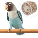 Bird Nest Toy Bird Cage Canary Hatching Breeding Bowl Parrot Hideaway Shelter for Budgie Finches Parakeet Conures Cockatiel - Image 3