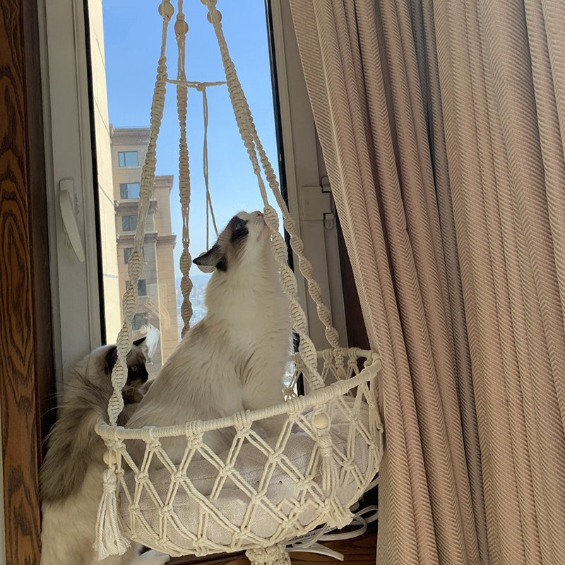 Winter Pet Hammock Cat Swing Hand Woven Cotton Rope Cats Hanging Basket Kitten Hanging String Den Indoor Pend Nest Pet Supplies Winter Pet Hammock Cat Swing Hand Woven Cotton Rope Cats Hanging Basket Kitten Hanging String Den Indoor Pend Nest Pet Supplies