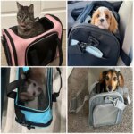 Dog Cat Carrier Bag Pet Puppy Travel Bags Breathable Mesh Small Dog Cat Dogs Outdoor Tent Carrier Outgoing Pets Bag Handbag - Image 6