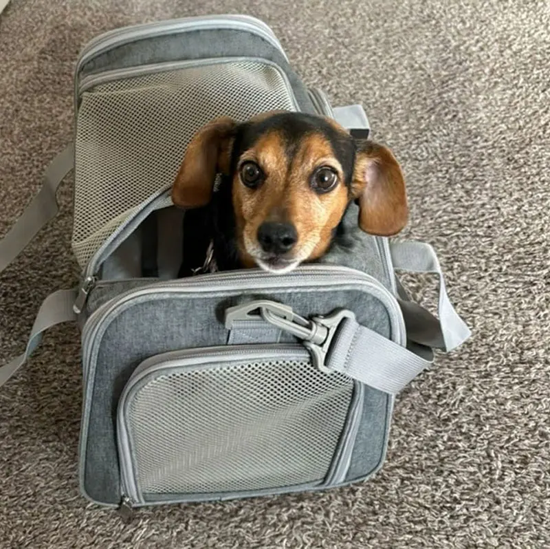 Dog Cat Carrier Bag Pet Puppy Travel Bags Breathable Mesh Small Dog Cat Dogs Outdoor Tent Carrier Outgoing Pets Bag Handbag Dog Cat Carrier Bag Pet Puppy Travel Bags Breathable Mesh Small Dog Cat Dogs Outdoor Tent Carrier Outgoing Pets Bag Handbag