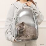 2025 New Space Capsule Transparent Cat Bag Breathable Shoulder Pet Bag Portable Cat Bag Pet Supplies Pet Backpack