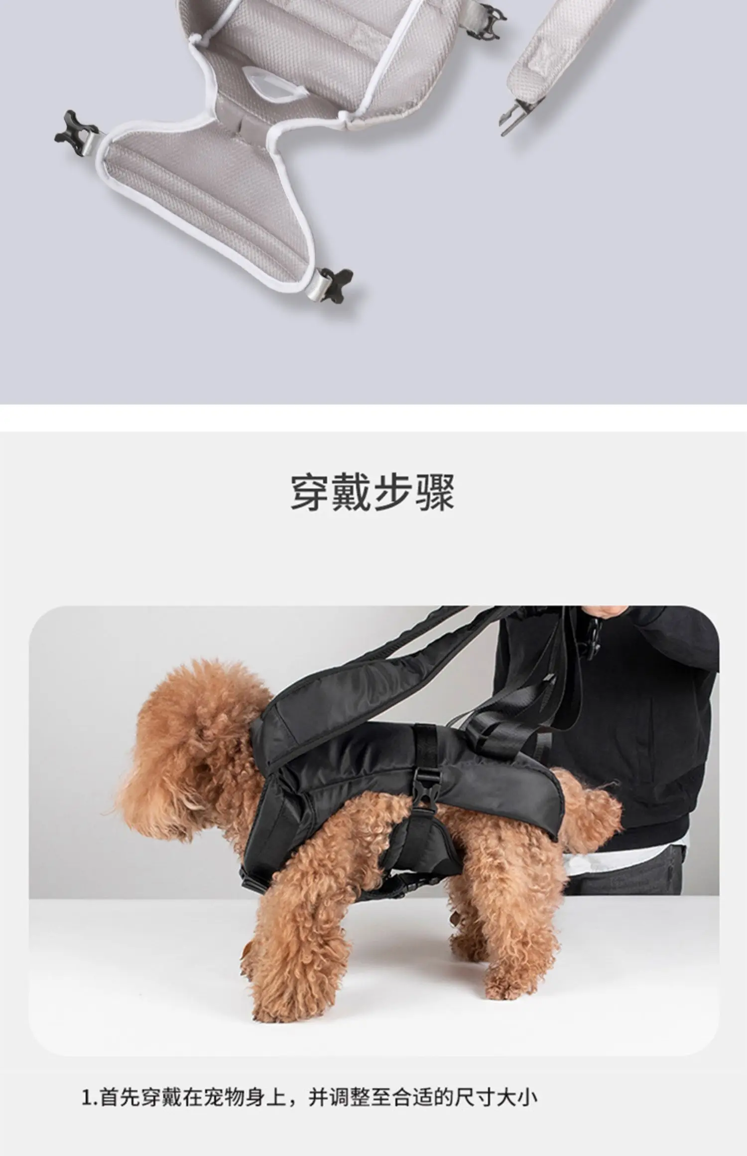 Cats Go Out For Portable Riding With Shoulder Bags Cats With Chest Bags Small Dogs Riding Pet Cat Bags On Their Shoulders Cats Go Out For Portable Riding With Shoulder Bags Cats With Chest Bags Small Dogs Riding Pet Cat Bags On Their Shoulders