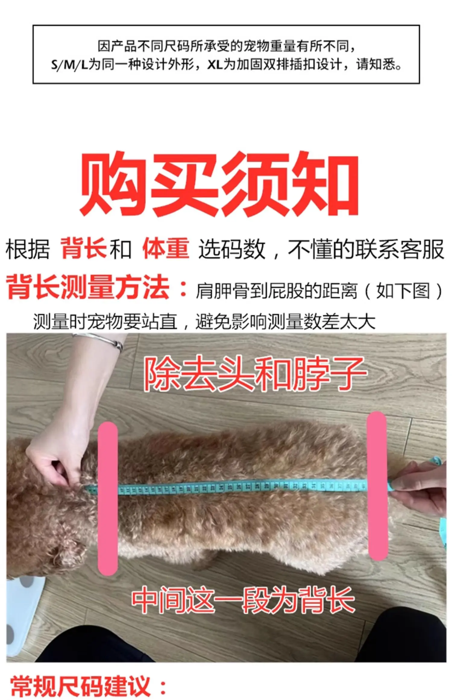 Cats Go Out For Portable Riding With Shoulder Bags Cats With Chest Bags Small Dogs Riding Pet Cat Bags On Their Shoulders Cats Go Out For Portable Riding With Shoulder Bags Cats With Chest Bags Small Dogs Riding Pet Cat Bags On Their Shoulders