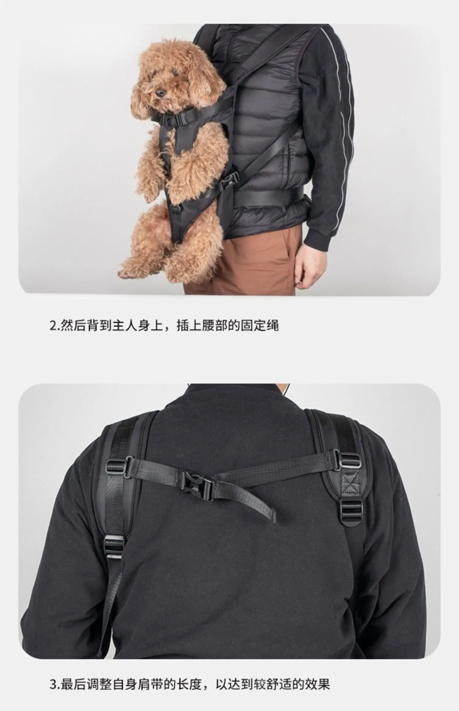 Cats Go Out For Portable Riding With Shoulder Bags Cats With Chest Bags Small Dogs Riding Pet Cat Bags On Their Shoulders Cats Go Out For Portable Riding With Shoulder Bags Cats With Chest Bags Small Dogs Riding Pet Cat Bags On Their Shoulders