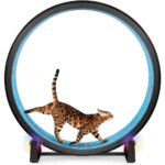 One Fast Cat Exercise Wheel, Gen. 7, 48" Diameter, Made in USA, Black Wheel with Black Felt Traction Pads for Safe Cat Fitness - Image 6