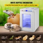 SucceBuy 25L Reptile Incubator Scientific Lab Automatic Incubator Egg Breeding Hatchery Work for Thermostats Snakes and Turtles - Image 2