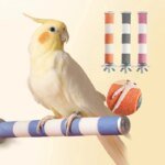 20/15/12CM Pet Parrot Bird Claw Beak Grinding Perches Stand Rack Claw Grinding Stick Cage Pigeon Accessories - Image 2