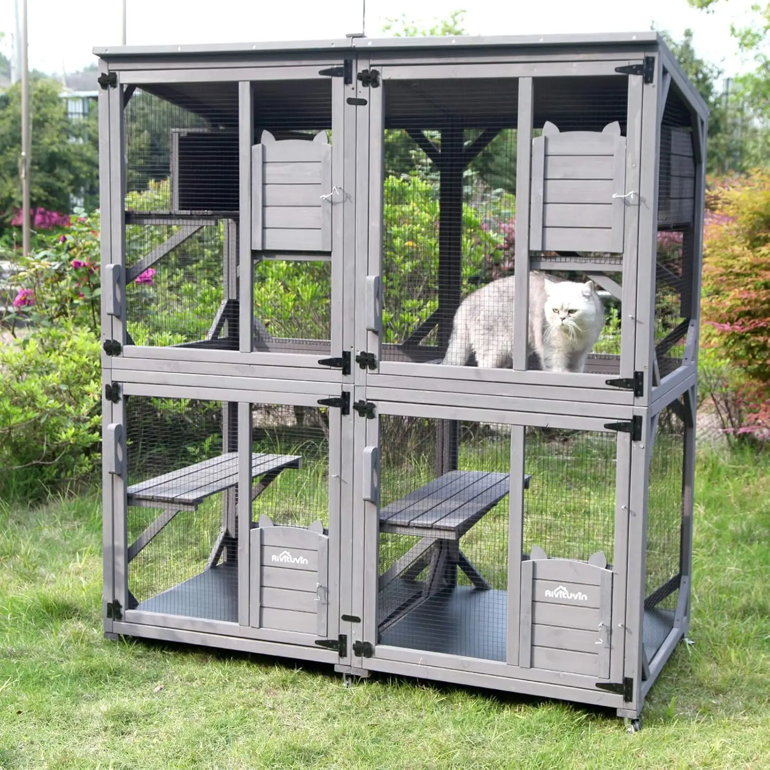 79791-ni7vfv.jpg Indoor and Outdoor Cattery, Large Wooden Cat Cage with Wheels, 70.9-inch Upgraded Dog Cage with Reinforced Wooden Bars - Image 1