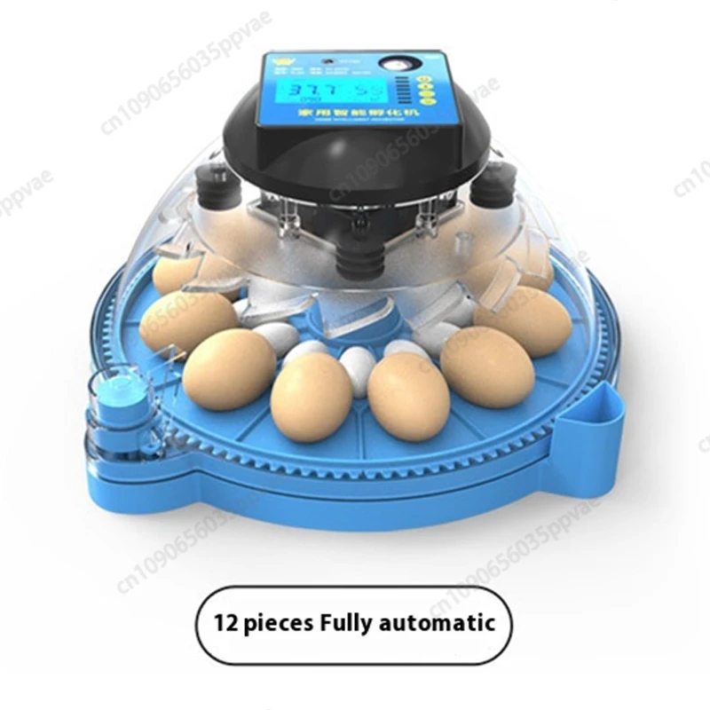 A8 Shape Automatic Egg Incubator For Cockatiel Parrot Quail Birds With Digital Temperature Control And Humidity Adjustment Smart A8 Shape Automatic Egg Incubator For Cockatiel Parrot Quail Birds With Digital Temperature Control And Humidity Adjustment Smart