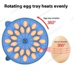 A8 Shape Automatic Egg Incubator For Cockatiel Parrot Quail Birds With Digital Temperature Control And Humidity Adjustment Smart - Image 3