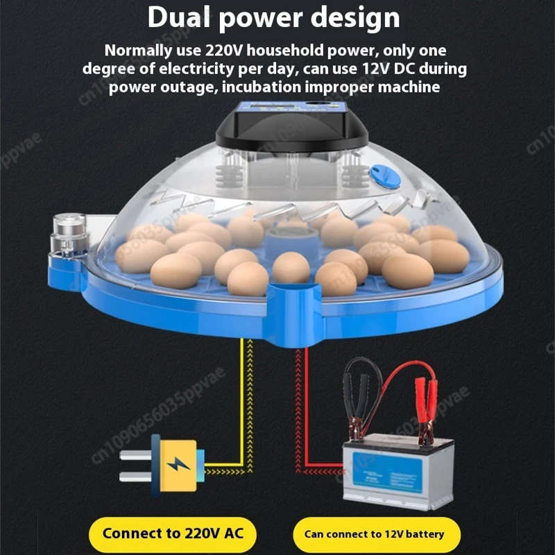 A8 Shape Automatic Egg Incubator For Cockatiel Parrot Quail Birds With Digital Temperature Control And Humidity Adjustment Smart A8 Shape Automatic Egg Incubator For Cockatiel Parrot Quail Birds With Digital Temperature Control And Humidity Adjustment Smart