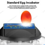 A8 Shape Automatic Egg Incubator For Cockatiel Parrot Quail Birds With Digital Temperature Control And Humidity Adjustment Smart - Image 5