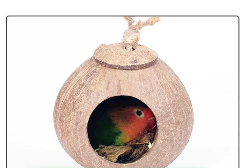 Coconut Bird Nest Hut with Ladder for Parrots Parakeet Conures Cockatiel - Small Animals House Pet Cage Habitats Decor