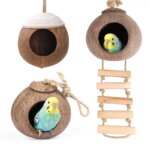 Coconut Bird Nest Hut with Ladder for Parrots Parakeet Conures Cockatiel - Small Animals House Pet Cage Habitats Decor