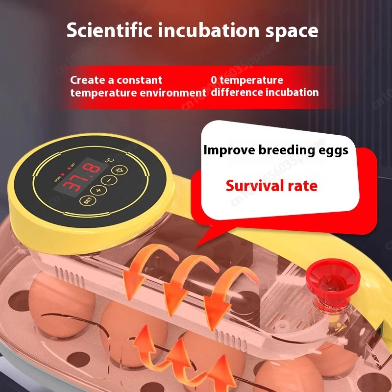 Wholesale Price Smart Egg Incubator For Quail And Bird Eggs With Auto Turn Function And Digital Thermostat Perfect For Hatching