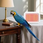 Bird Cage Heater Warming Thermostatic Coop Heater Cage Accessories For Winter Freezing Parakeet Parrot Lizard Nesting Outdoors - Image 4