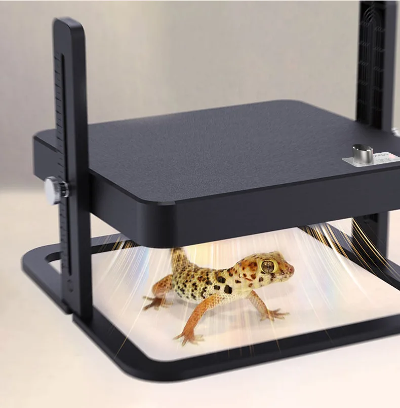 Small Brooding Kiosk With Pet Heating Heating Plate Safety Temperature Control Intelligent Chicken Heater Small Brooding Kiosk With Pet Heating Heating Plate Safety Temperature Control Intelligent Chicken Heater