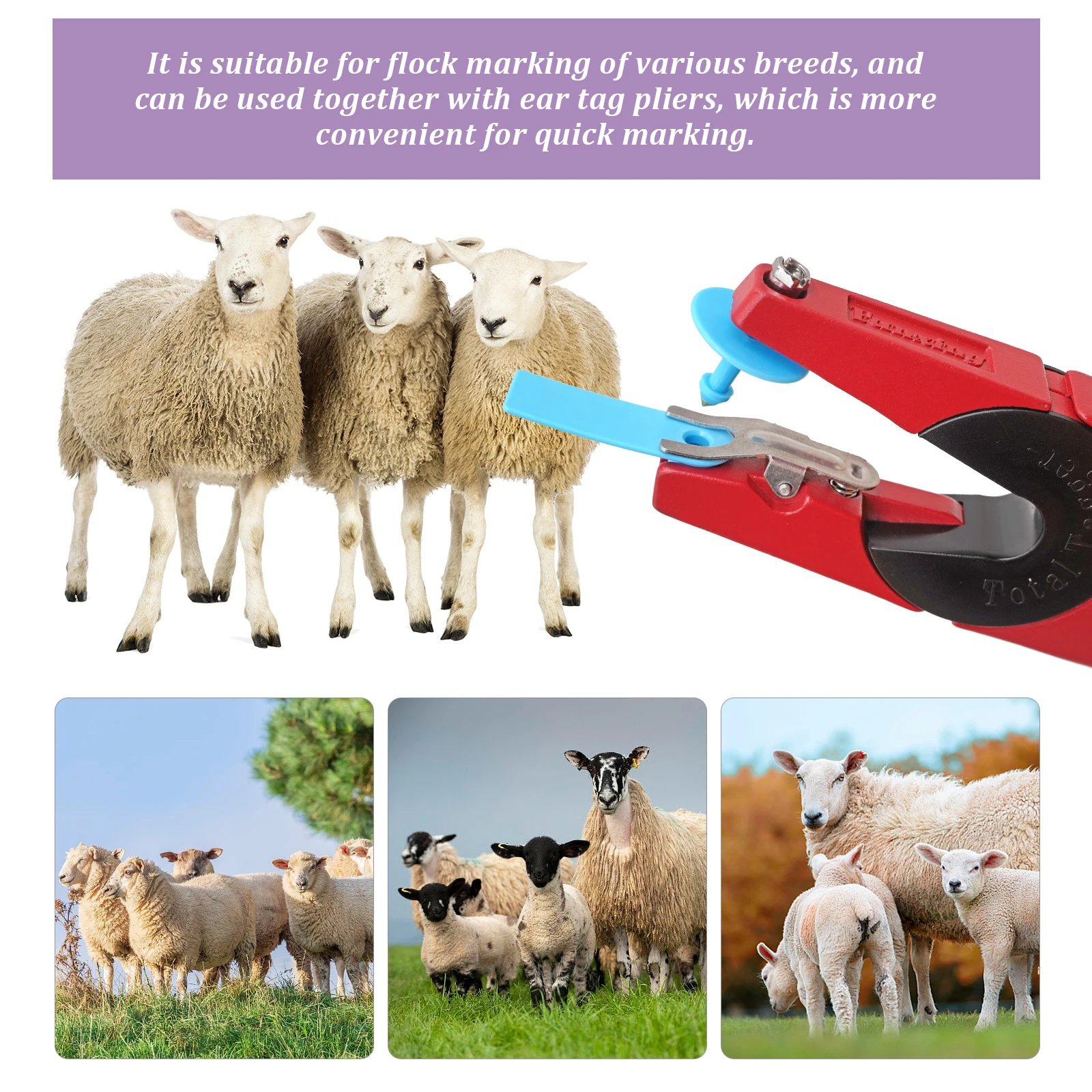 No. 1-500 Sheep Ear Tag Signs with The Word Ear Laser Typing Copper Head Earrings Farm Animal Identification Card 100Pcs