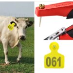 Customized Farm Animal Eartags, Cow Cattle Ear Tags, Plastic TPU Identification Label with Number for Pig Sheep, 20Pcs - Image 2