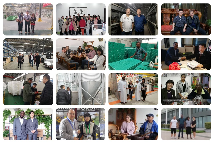 Rechargeable RFID Handheld Scanner With Microchip Ear Tag Reader For Electronic Identification Rechargeable RFID Handheld Scanner With Microchip Ear Tag Reader For Electronic Identification