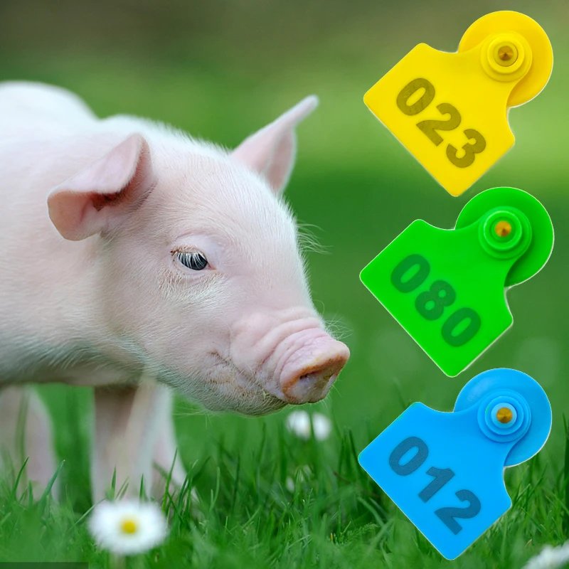 100-Piece Set: Plastic TPU Pig Ear Tags—Versatile Identification Solution for Cows, Goats, Sheep and All Farm Livestock