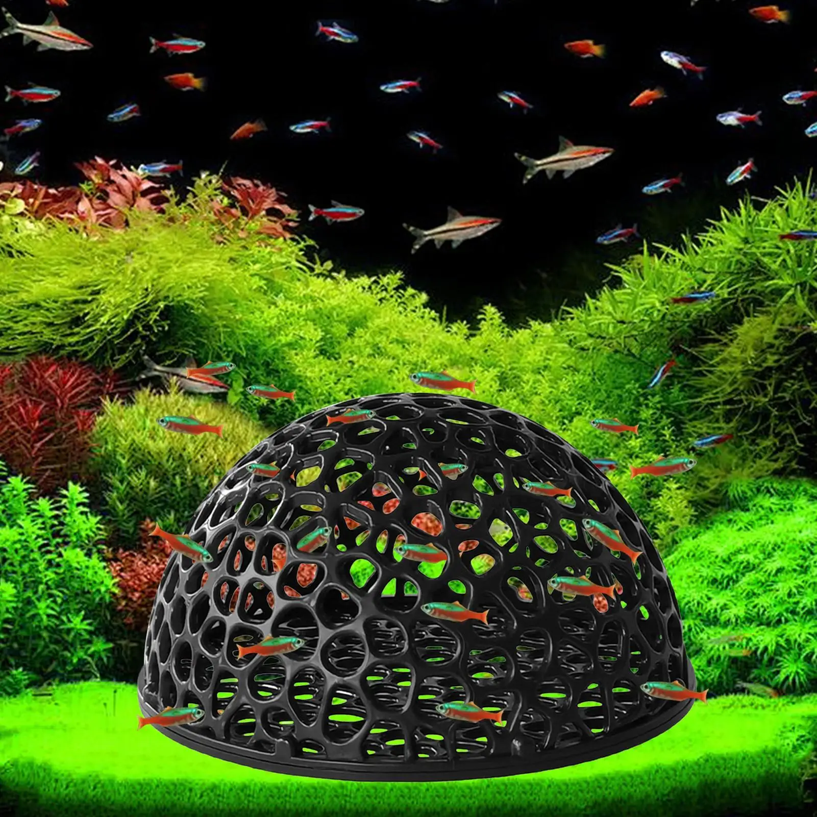 82455-sanywx.jpg Aquarium shrimp house Cave Mini Porous Betta House Fish Hiding Spots Shrimp Shelter Shrimp breeding nest for Aquatic Decor - Image 1