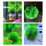 Aquarium Decorative Artificial Aquarium Grass Ball – Durable Faux Water Plant for Fish Tank Decor, Fade-Resistant - Image 4