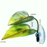 Pets Fish Tank Decor Betta Relax Play Plants Leaf Aquarium Decoration Fish Spawning Ornamental Artificial Leaf Hammock - Image 6
