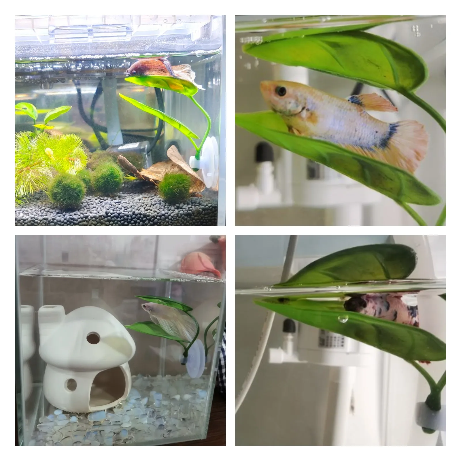 Pets Fish Tank Decor Betta Relax Play Plants Leaf Aquarium Decoration Fish Spawning Ornamental Artificial Leaf Hammock