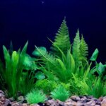 Artificial Underwater Plastic Plants Aquarium Fish Tank Aquatic Fake Shrub Green Water Grass Viewing Simulation Decoration - Image 3