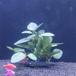 Aquarium simulation plant Plastic Artificial Turtle Tree Trunk plant  Plant Fish Tank Grass Wood Decoration Underwater Plants - Image 4