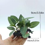 Aquarium simulation plant Plastic Artificial Turtle Tree Trunk plant  Plant Fish Tank Grass Wood Decoration Underwater Plants - Image 6