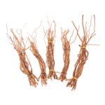 Aquarium Micro Landscape Natural Driftwood Root Trunk Tree DIY Home Fish Tank Ornaments - Image 3
