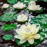 1PCS lifelike multi-color lotus floating foam flowers, suitable for ponds and aquariums, 4-inch garden decoration festival decor - Image 4