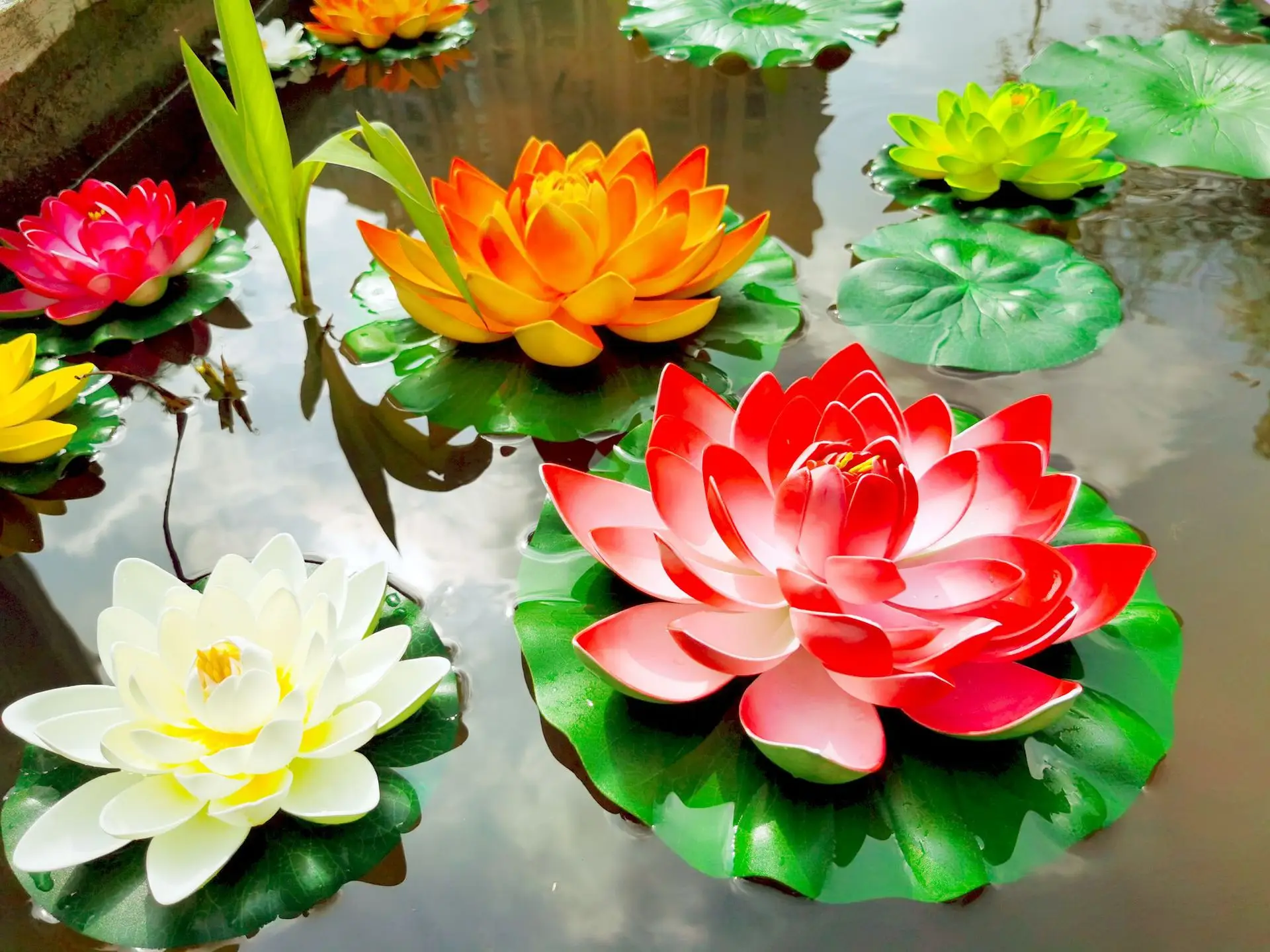 1PCS lifelike multi-color lotus floating foam flowers, suitable for ponds and aquariums, 4-inch garden decoration festival decor 1PCS lifelike multi-color lotus floating foam flowers, suitable for ponds and aquariums, 4-inch garden decoration festival decor