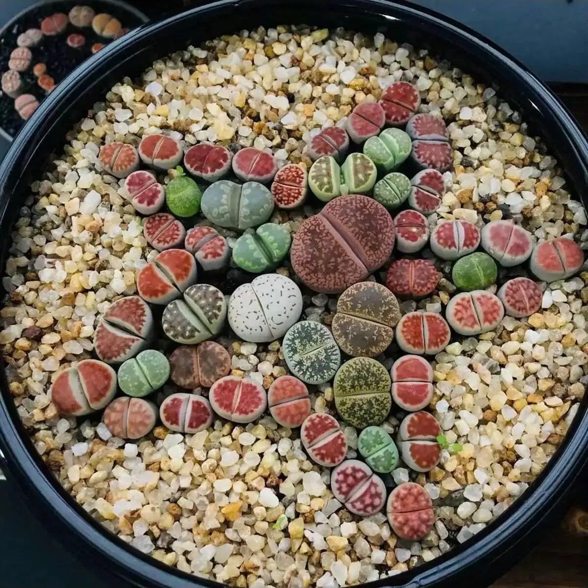 1pc-250g Natural Crystals Gravel Stone Micro Landscape Garden Aquarium Decor Fish Tank Bottom Sand Potted Plants DIY Accessories 1pc-250g Natural Crystals Gravel Stone Micro Landscape Garden Aquarium Decor Fish Tank Bottom Sand Potted Plants DIY Accessories