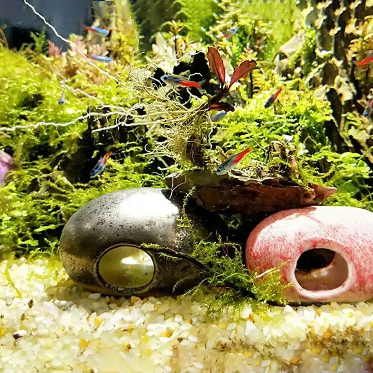 1pc-250g Natural Crystals Gravel Stone Micro Landscape Garden Aquarium Decor Fish Tank Bottom Sand Potted Plants DIY Accessories 1pc-250g Natural Crystals Gravel Stone Micro Landscape Garden Aquarium Decor Fish Tank Bottom Sand Potted Plants DIY Accessories