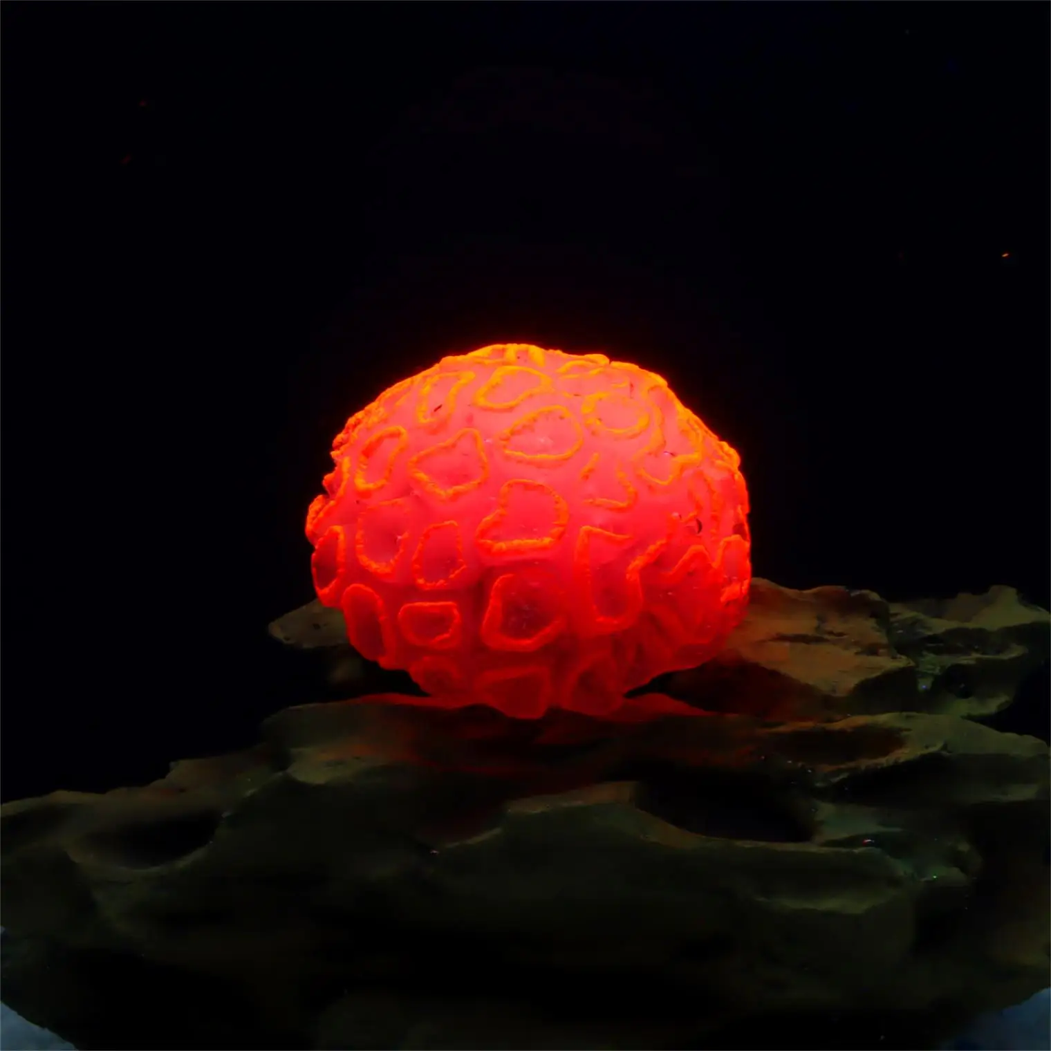 1 Piece Realistic Fake Fluorescent Brain Coral Decoration - Vibrant Glowing Artificial Coral Decoration for Aquarium Fish Tank - 1 Piece Realistic Fake Fluorescent Brain Coral Decoration - Vibrant Glowing Artificial Coral Decoration for Aquarium Fish Tank -