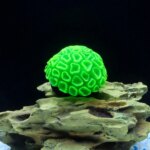 1 Piece Realistic Fake Fluorescent Brain Coral Decoration - Vibrant Glowing Artificial Coral Decoration for Aquarium Fish Tank - - Image 4