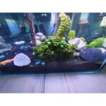 Aquarium cave cave shrimp aquarium For Aquatic Pets To Breed, Play AndRest Fish - Image 6