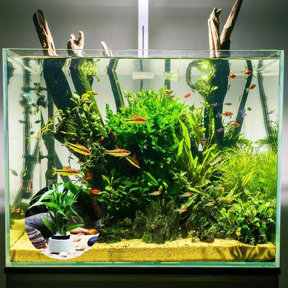 Aquarium Plant Weights 10/20 Sets Aquatic Plants Fixed Rings Anti-Floating Ceramic Plant Weights Fish Tank Landscape Accessories