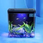1PC Household fish tank, living room, small mini betta fish tank, desktop ecological tank