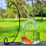 Round/Rectangle Shape Hanging Glass Aquarium Fish Tank Fish Bowl Transparent Vase Ornament With Rack Holder Home Decoration - Image 2