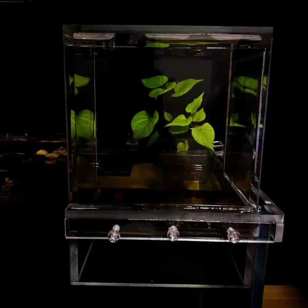 1pc Landscaping Negative Pressure Fish Tank Easy to Install Unique Acrylic Suspended Fish Tank Eye-catching