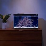 Xiaomi Mijia Smart Fish Tank MYG100 Work with Mijia APP Mobile Controlled Remote Feeding Smart Lighting System Light Aquarium - Image 5