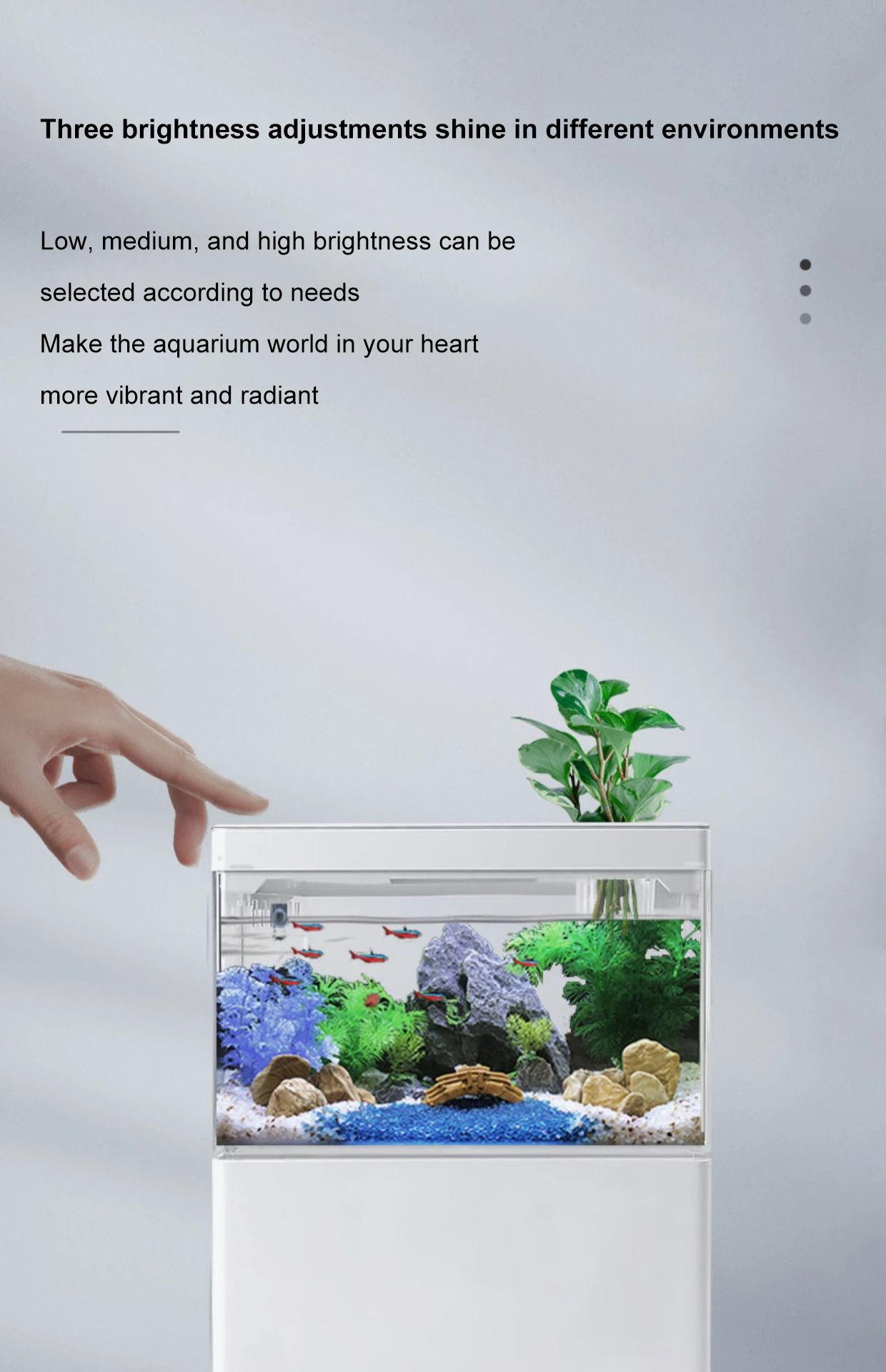 Fish tank living room small landscape ecological tank household USB powered mini tank fish tank Fish tank living room small landscape ecological tank household USB powered mini tank fish tank