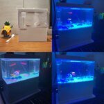 Fish tank living room small landscape ecological tank household USB powered mini tank fish tank - Image 5