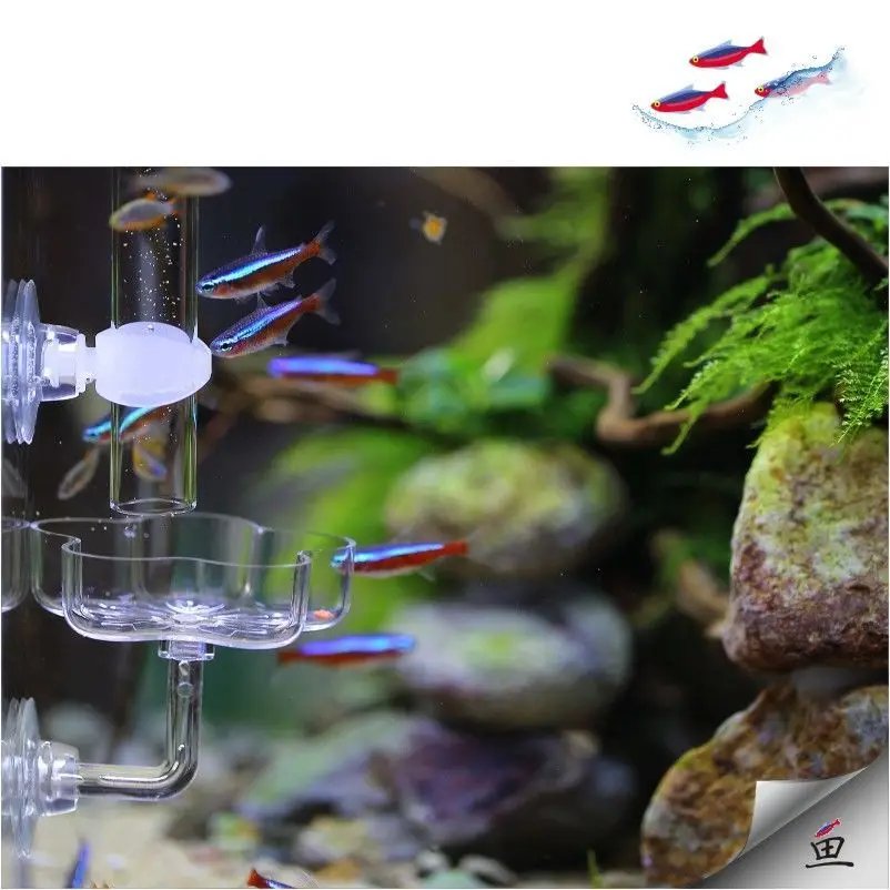 Aquarium Feeding Tray Clear Fish Shrimp Food Feeder Tube Dish Shrimp Bowl Feeding Ring Fish Tank Decoration Accessories