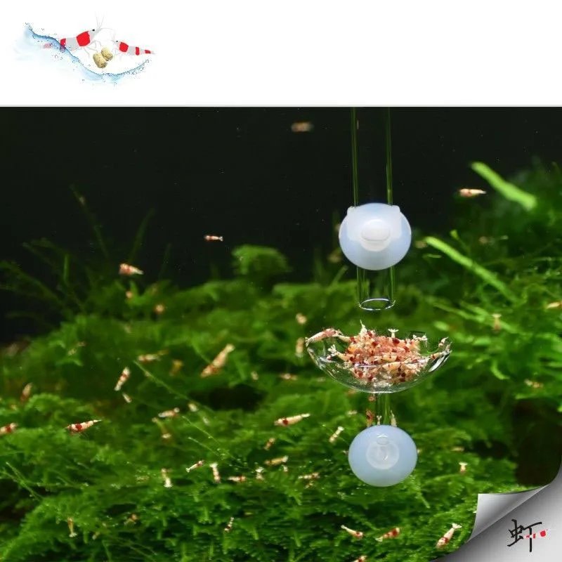 Aquarium Feeding Tray Clear Fish Shrimp Food Feeder Tube Dish Shrimp Bowl Feeding Ring Fish Tank Decoration Accessories